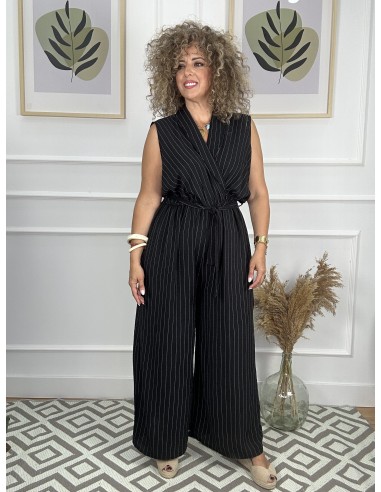 Mono rayas diplomaticas